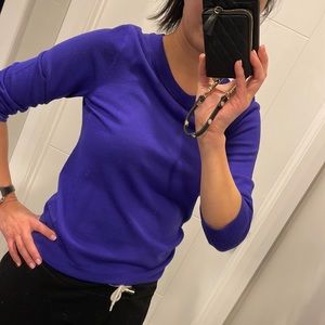 J.Crew 100% Merino wool Tippi crew neck sweater